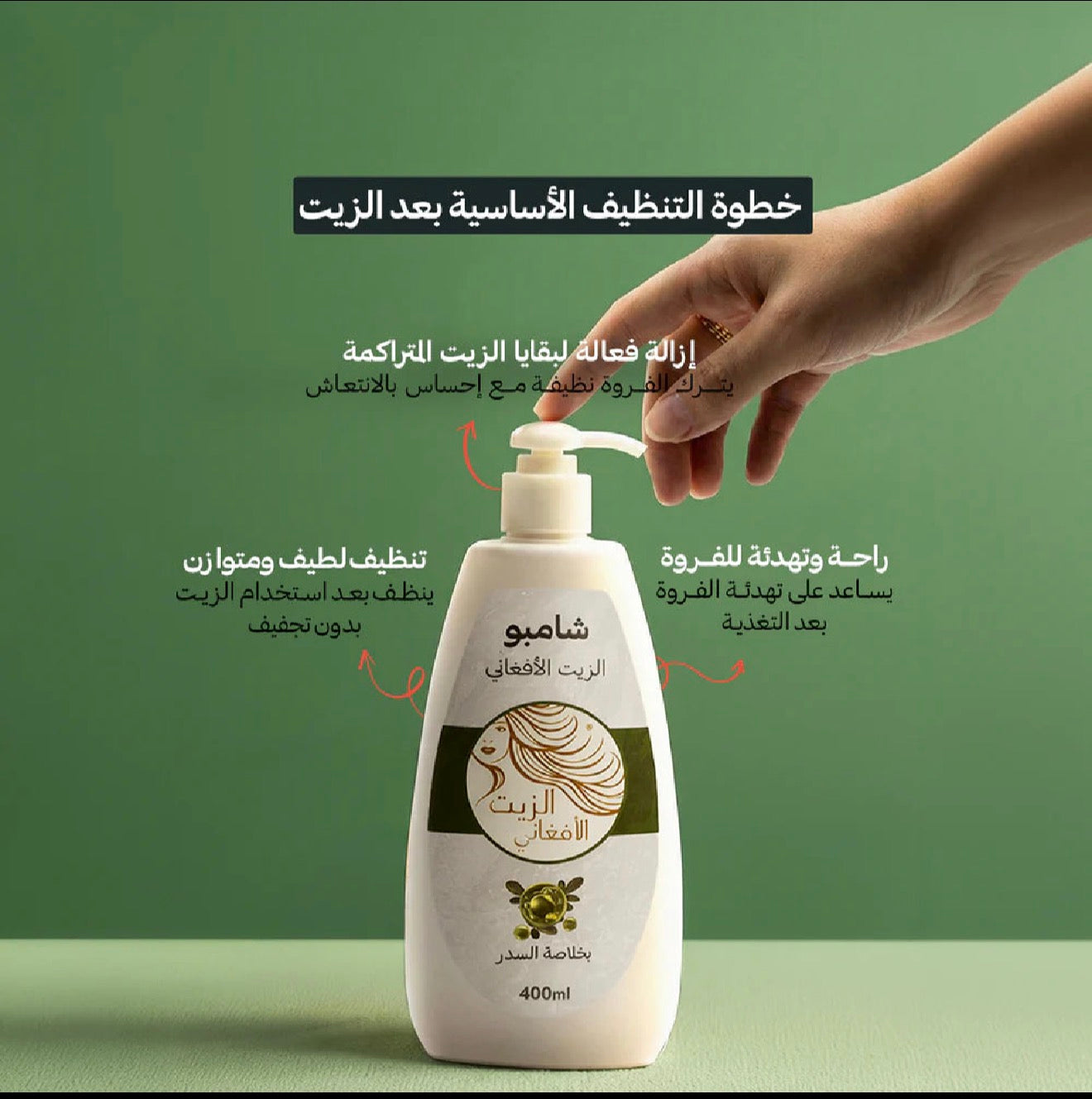 شامبو السدر